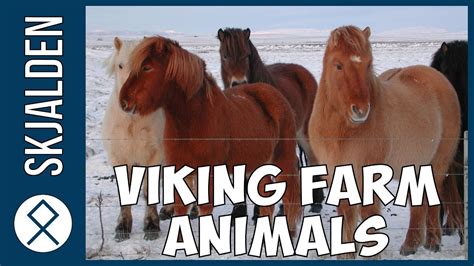 What Farm Animals Did The Vikings Have